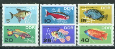 4a-1226.jpg (27908 Byte)