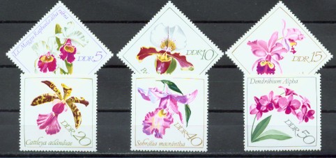 4a-1425.jpg (40640 Byte)