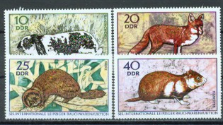 4a-1544.jpg (31249 Byte)