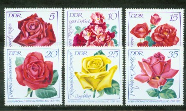 4a-1768.jpg (40938 Byte)