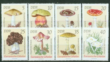 4a-1940.jpg (30985 Byte)