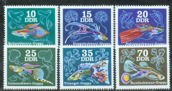 4a-2181.jpg (34370 Byte)