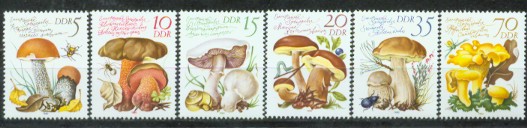 4a-2556.jpg (33542 Byte)