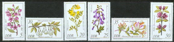 4a-2578.jpg (38385 Byte)